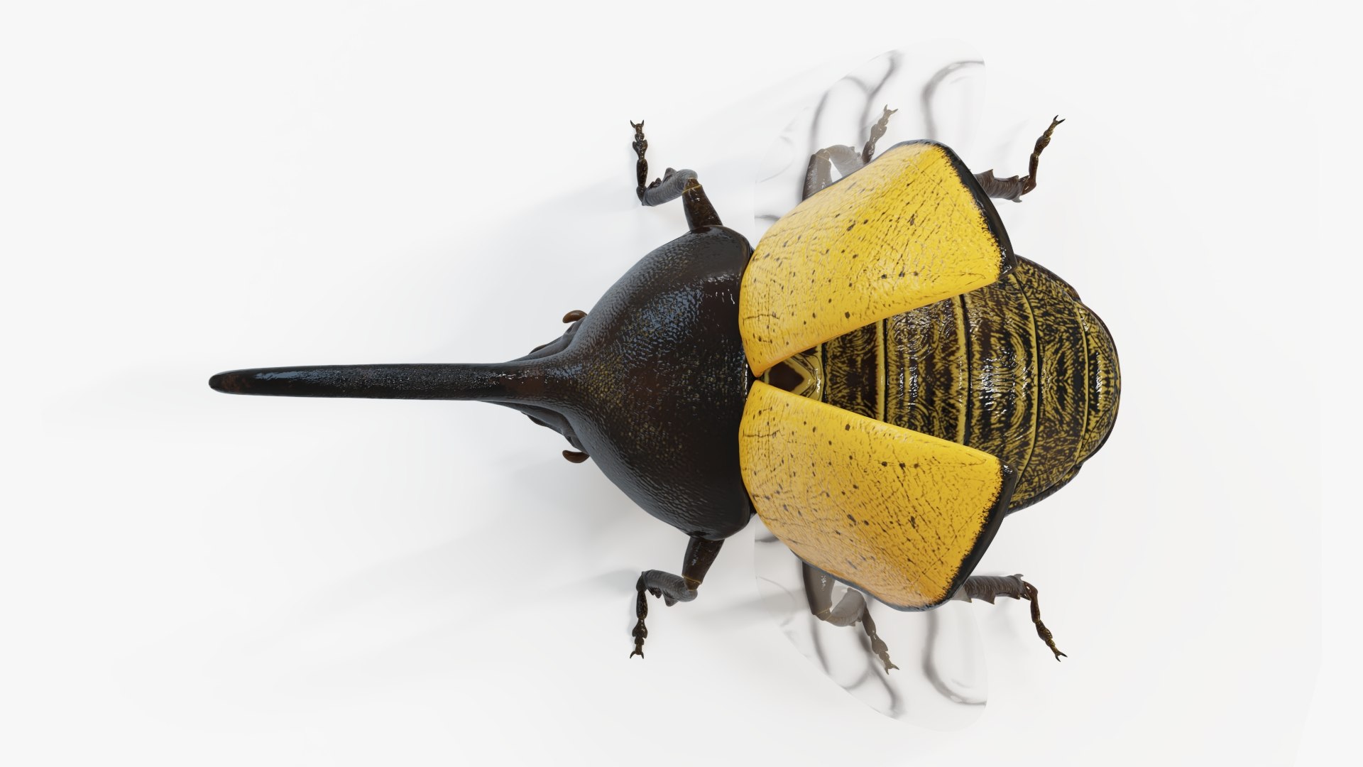 3D Hercules Beetle - TurboSquid 1990215