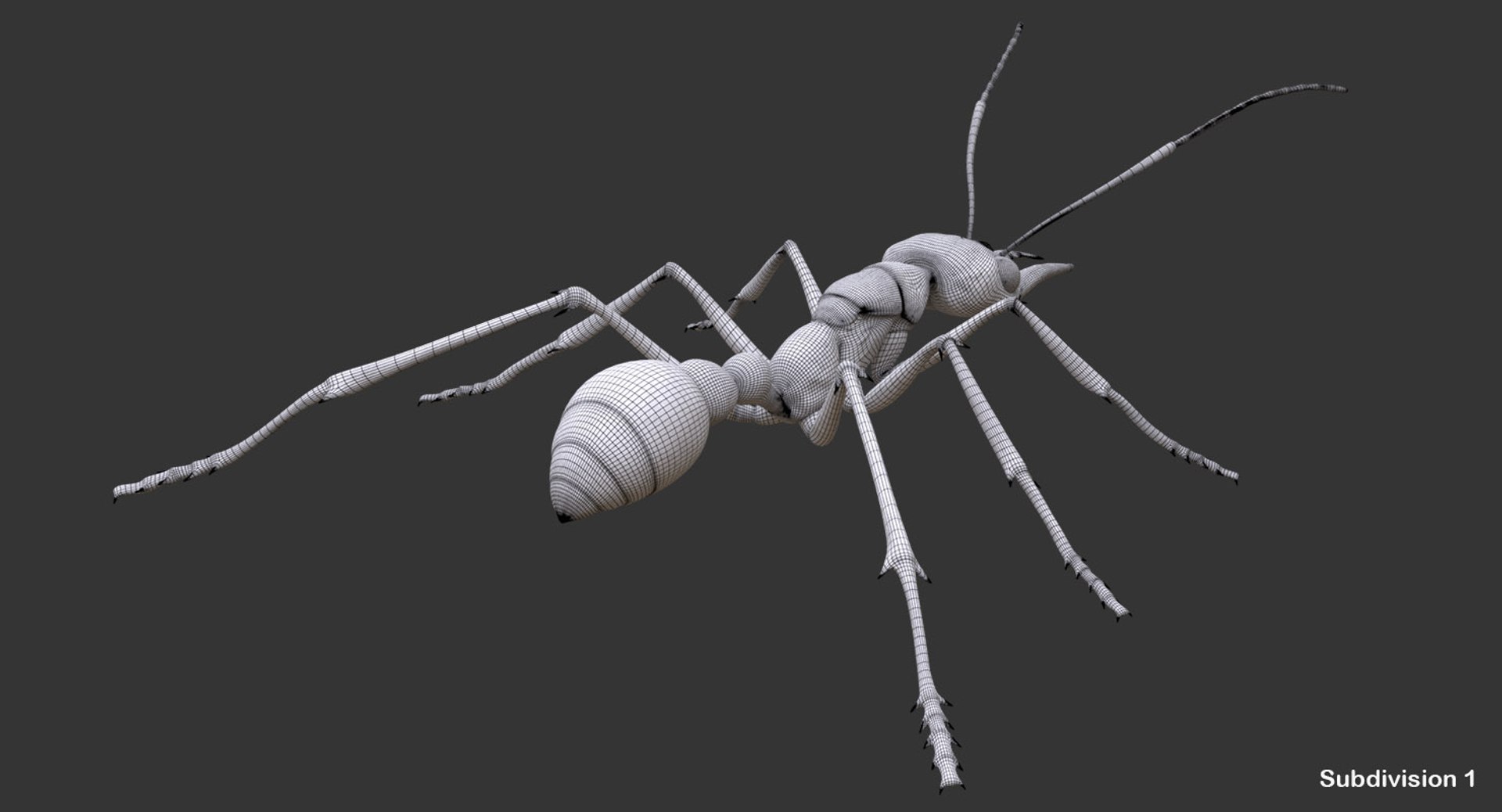 australian bulldog ant 3D model https://p.turbosquid.com/ts-thumb/Yh/8EYNLS/3VKX7YrJ/8/jpg/1527062303/1920x1080/fit_q87/90166a39b15df0697316a2979d7c45bd1417f4a5/8.jpg