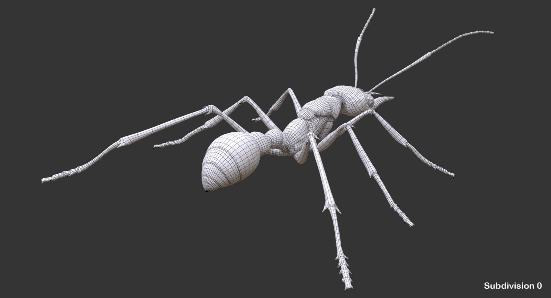 australian bulldog ant 3D model https://p.turbosquid.com/ts-thumb/Yh/8EYNLS/Ftq4EWi2/07/jpg/1527062303/1920x1080/fit_q87/791fffb5f119b10f68cb6de3a1ff28f4199f22e1/07.jpg