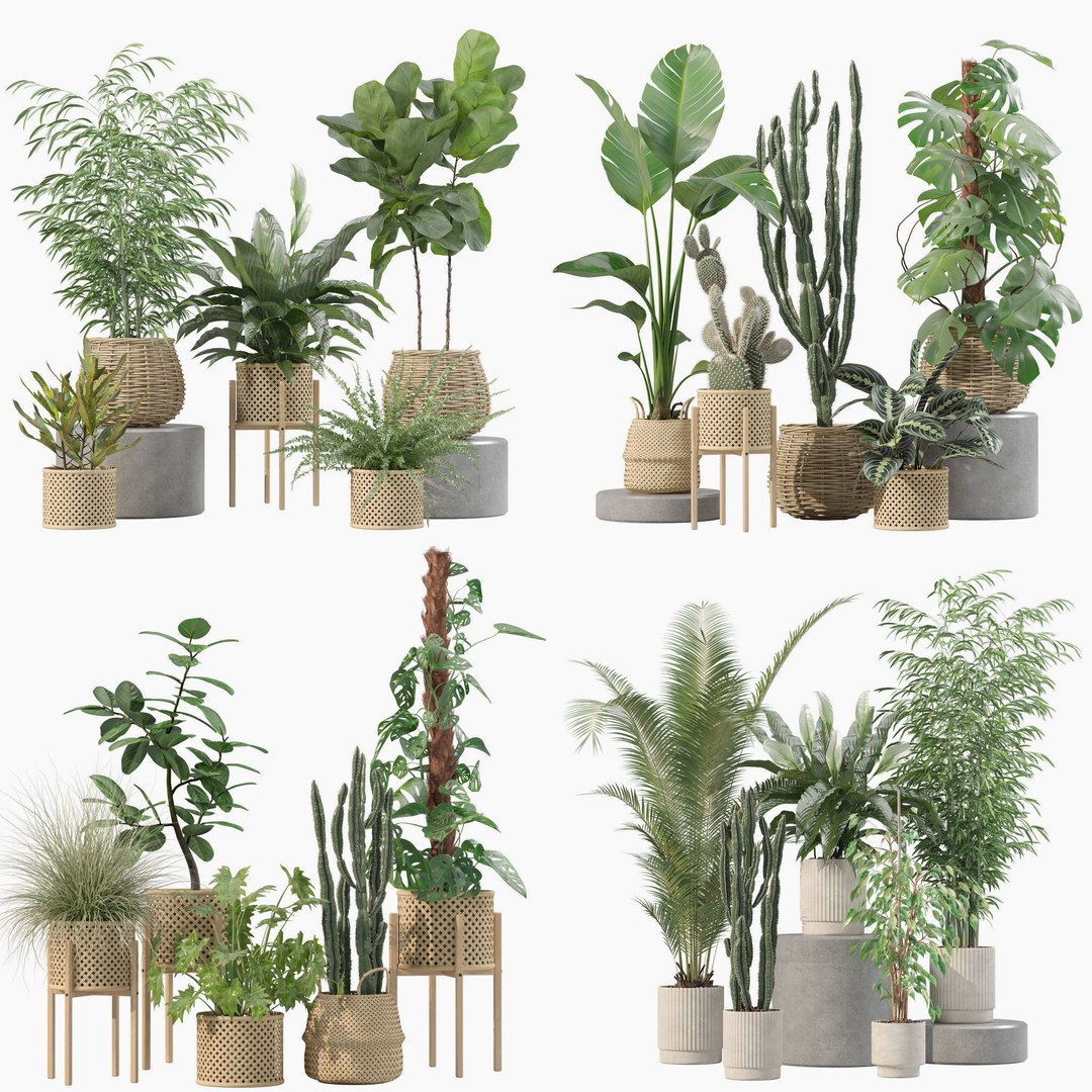 20 Photorealistic Flowers For Interiors - Set 203 205 211 214 3D Model ...