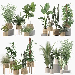 20 Photorealistic Flowers for Interiors - set 203 205 211 214 3D model