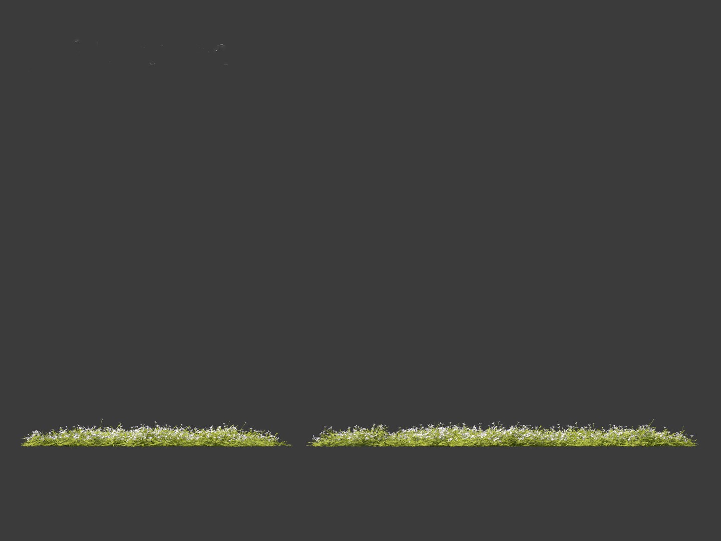 3D model Isotoma fluviatilis - blue star creeper https://p.turbosquid.com/ts-thumb/Yh/OFcrMm/6U/isotomafluviatilis0113/jpg/1697815279/1920x1080/fit_q87/8ccd3cfd6acbcc11ce4e08c88f9daeadaac94c83/isotomafluviatilis0113.jpg