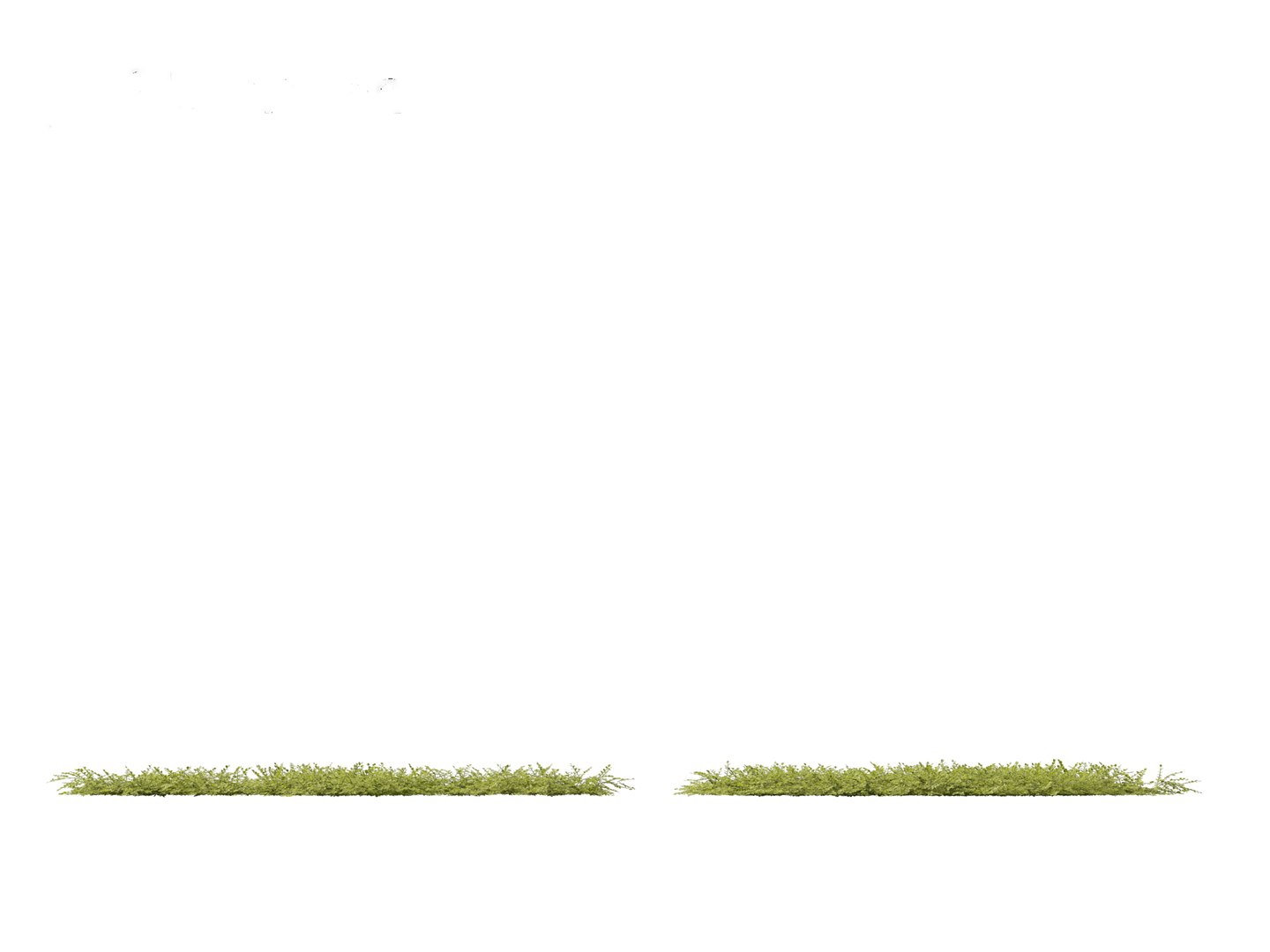 3D model Isotoma fluviatilis - blue star creeper https://p.turbosquid.com/ts-thumb/Yh/OFcrMm/Vf/isotomafluviatilis018/jpg/1697815261/1920x1080/fit_q87/9f50be1cf6e9925fbc589424633f621594516319/isotomafluviatilis018.jpg