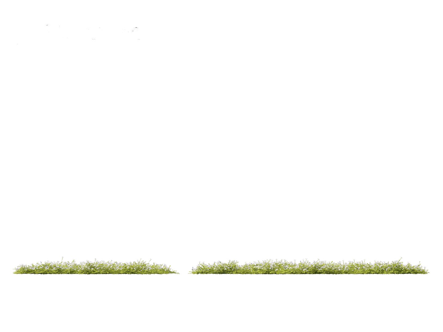 3D model Isotoma fluviatilis - blue star creeper https://p.turbosquid.com/ts-thumb/Yh/OFcrMm/tY/isotomafluviatilis0112/jpg/1697815287/1920x1080/fit_q87/e14c001aae4fc3da491b0aca52d9bb7d61b79766/isotomafluviatilis0112.jpg