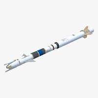 RIM-116 Rolling Airframe Missile (SAM)