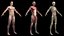 Male Full Anatomy Rigged Cinema model