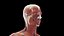Male Full Anatomy Rigged Cinema model