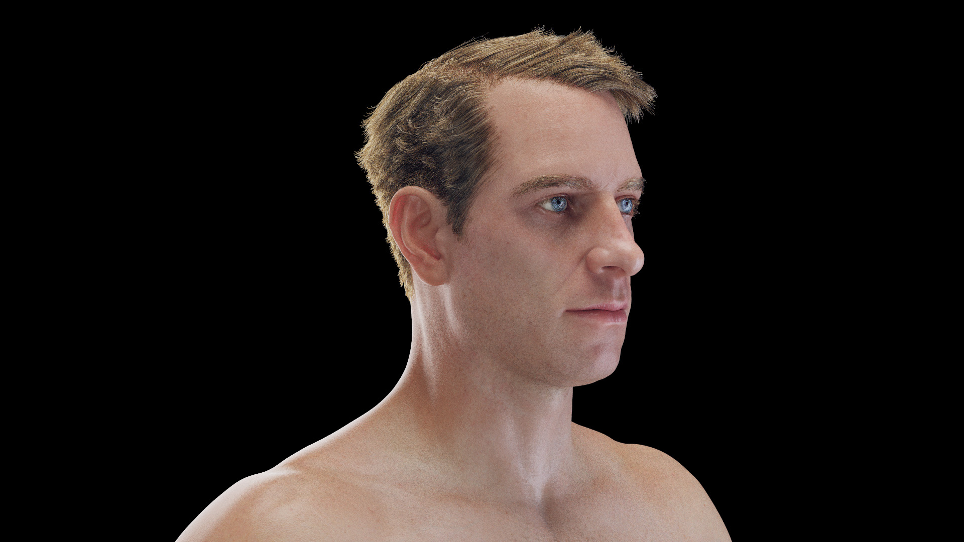 Male Full Anatomy Rigged Cinema model https://p.turbosquid.com/ts-thumb/Yh/Rqwjlu/vY/anatomy_v2_male_tt_1/jpg/1696438791/1920x1080/turn_fit_q99/85f9c4c7a36950d9eb7d05ccd22d81fb8e3d5bc1/anatomy_v2_male_tt_1-1.jpg