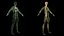 Male Full Anatomy Rigged Cinema model