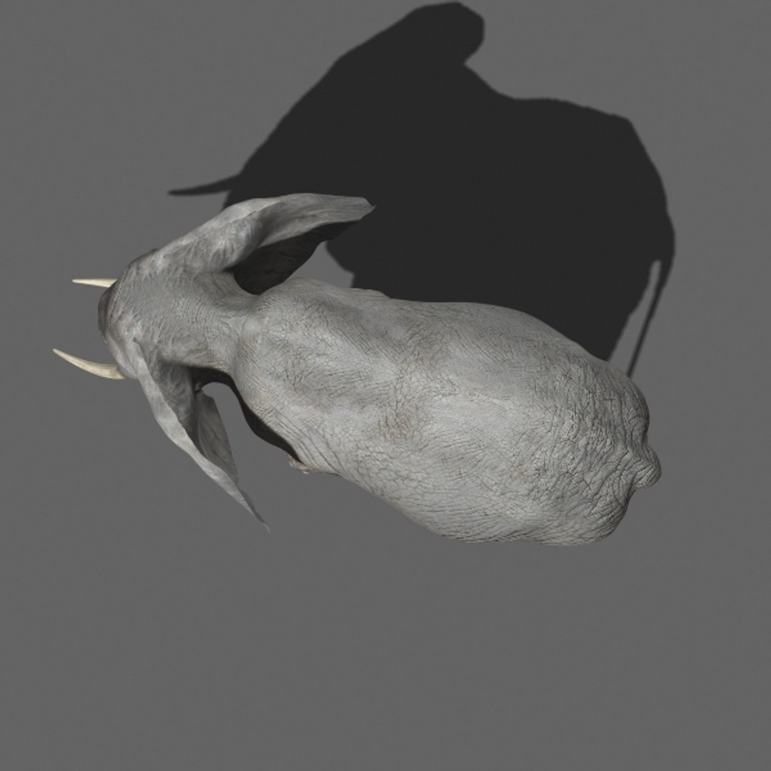 3d Model Elephant Rig