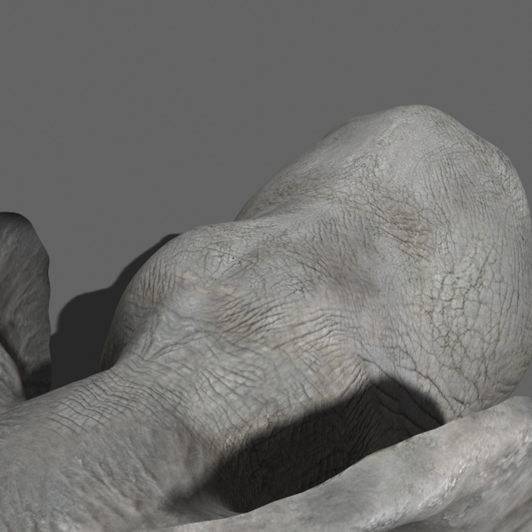 3d Model Elephant Rig