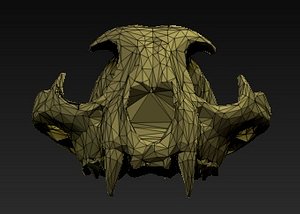 3d cat skull model