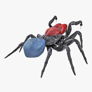 mouse spider fighting pose 3D model