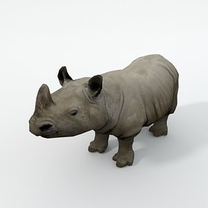 rhino 3D model