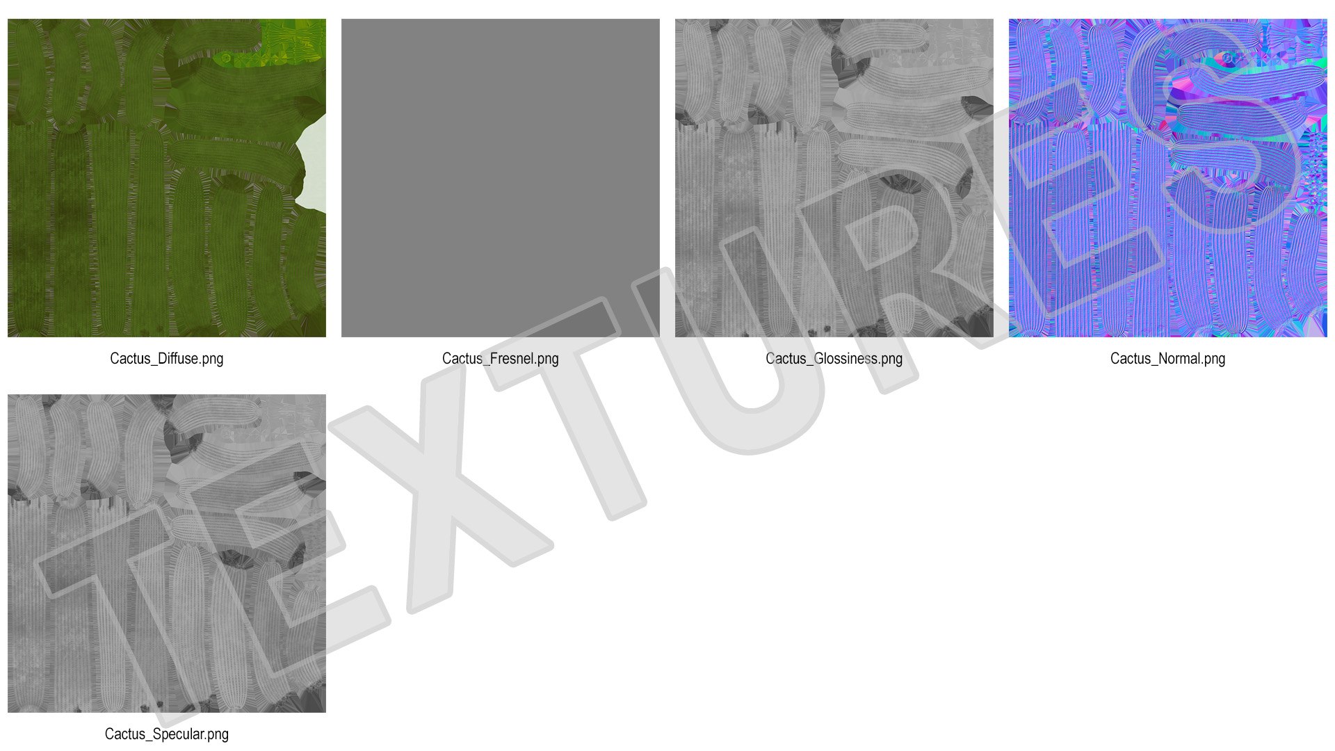 3D Mexican Cactus https://p.turbosquid.com/ts-thumb/Yh/guTApZ/7O/mexicancactusvray3dmodel017/jpg/1703223014/1920x1080/fit_q87/51699fe3ffa1ce6c8a5fc0c2aaba378707114cd1/mexicancactusvray3dmodel017.jpg