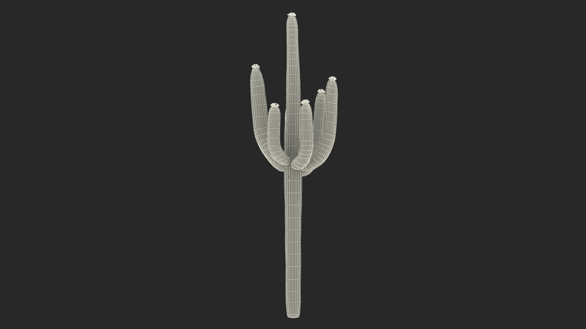 3D Mexican Cactus https://p.turbosquid.com/ts-thumb/Yh/guTApZ/G2/mexican_cactus_361/jpg/1703222729/1920x1080/turn_fit_q99/92939ff6fe45606fa4eaa1c992b66572cff87f30/mexican_cactus_361-1.jpg