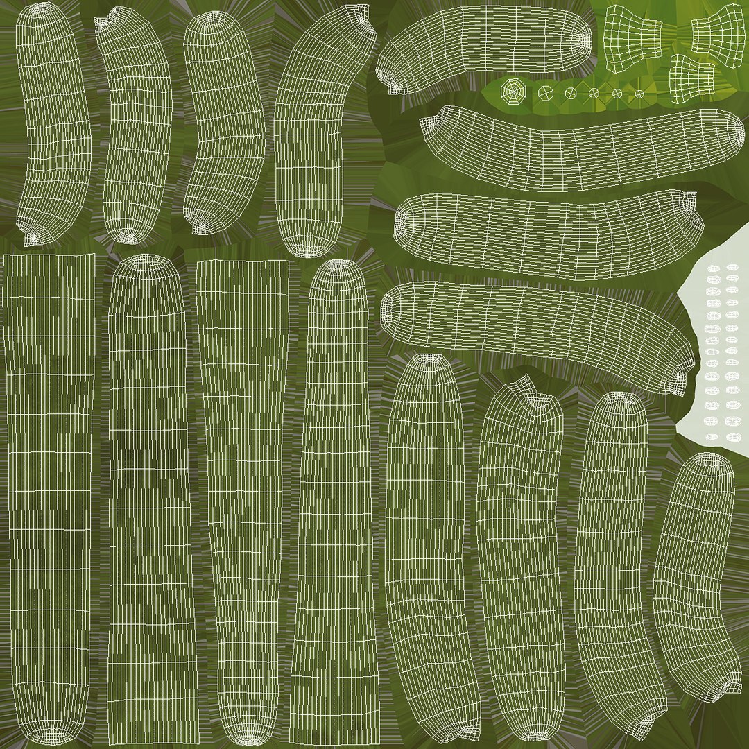 3D Mexican Cactus https://p.turbosquid.com/ts-thumb/Yh/guTApZ/Kg/mexicancactusvray3dmodel016/jpg/1703223009/1920x1080/fit_q87/c5e30c243d1c7cc8a64bb9ea68748b7865b6063a/mexicancactusvray3dmodel016.jpg