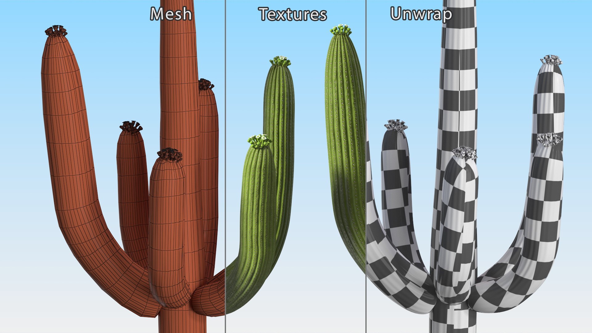 3D Mexican Cactus https://p.turbosquid.com/ts-thumb/Yh/guTApZ/ND/mexicancactusvray3dmodel014/jpg/1703222998/1920x1080/fit_q87/254160b3326e1588fc54ca24579dda5ed91891f9/mexicancactusvray3dmodel014.jpg