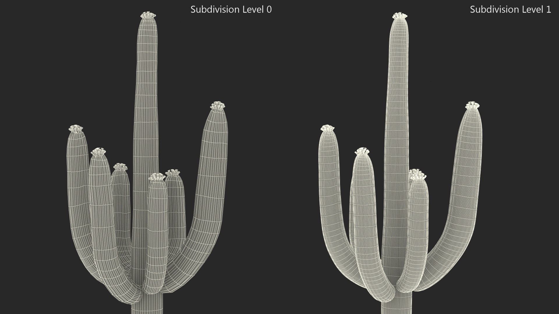 3D Mexican Cactus https://p.turbosquid.com/ts-thumb/Yh/guTApZ/NX/mexicancactusvray3dmodel015/jpg/1703223003/1920x1080/fit_q87/fbd3e00d71aa898749ac87015d7d5ec724c2b703/mexicancactusvray3dmodel015.jpg