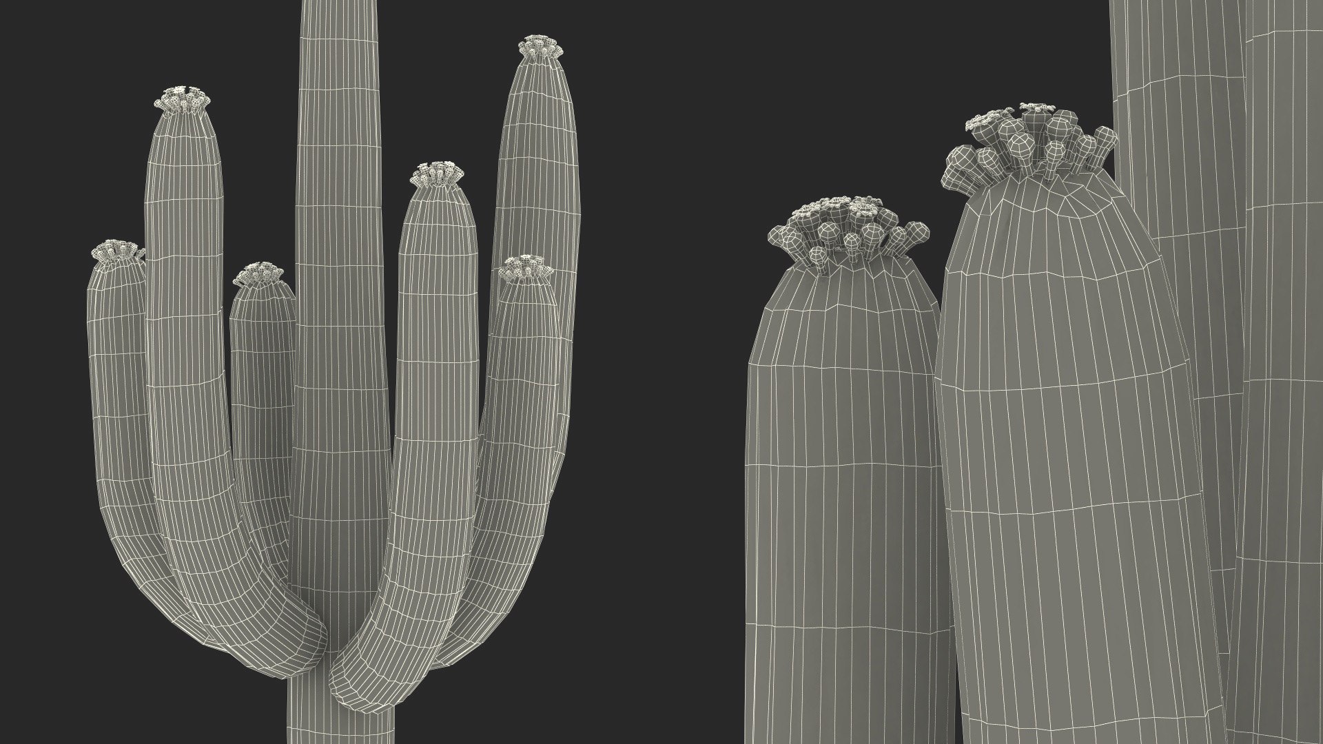 3D Mexican Cactus https://p.turbosquid.com/ts-thumb/Yh/guTApZ/XC/mexicancactusvray3dmodel025/jpg/1703223049/1920x1080/fit_q87/eb545c0dabec3e73aa2d2ebac8fe1fdd35c1c31d/mexicancactusvray3dmodel025.jpg