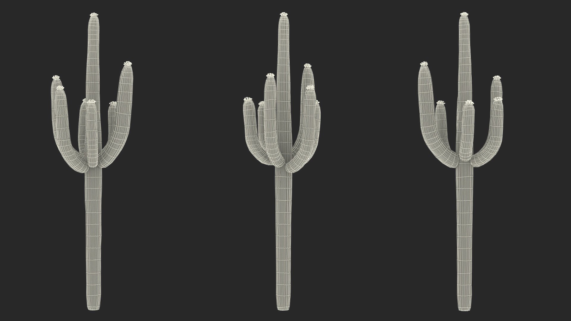 3D Mexican Cactus https://p.turbosquid.com/ts-thumb/Yh/guTApZ/vd/mexicancactusvray3dmodel023/jpg/1703223041/1920x1080/fit_q87/63ce0e68c61df03909444c57e8b71d5222aedeb5/mexicancactusvray3dmodel023.jpg