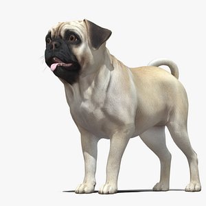 3D Rigged Dog Animation 3D model
