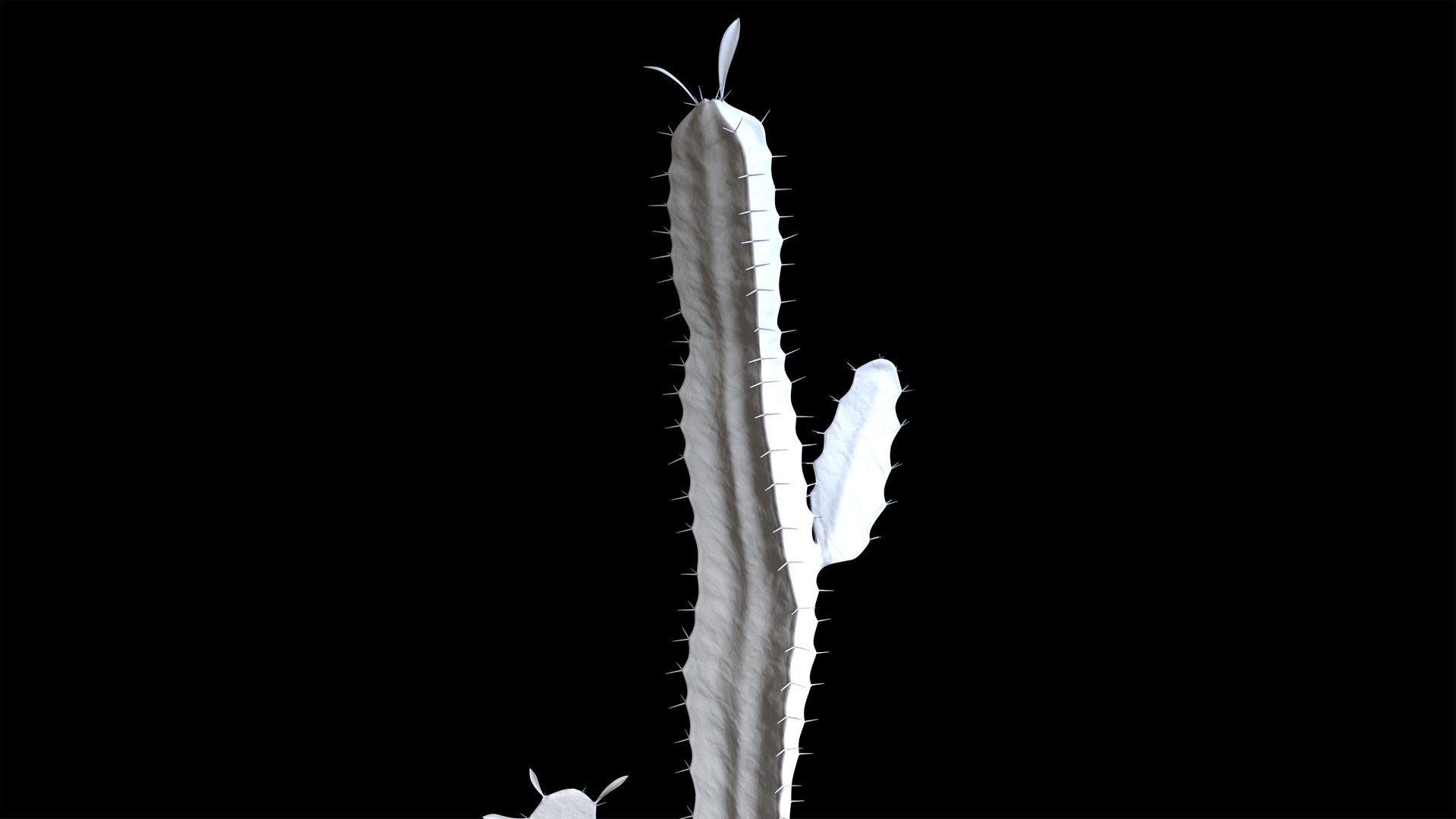 3d model euphorbia trigona cactus https://p.turbosquid.com/ts-thumb/Yh/sgCZA5/3Z/cactus_12/png/1730212353/1920x1080/fit_q87/3e65dc9930f1f5361e59e302f917ea3e4238f499/cactus_12.jpg