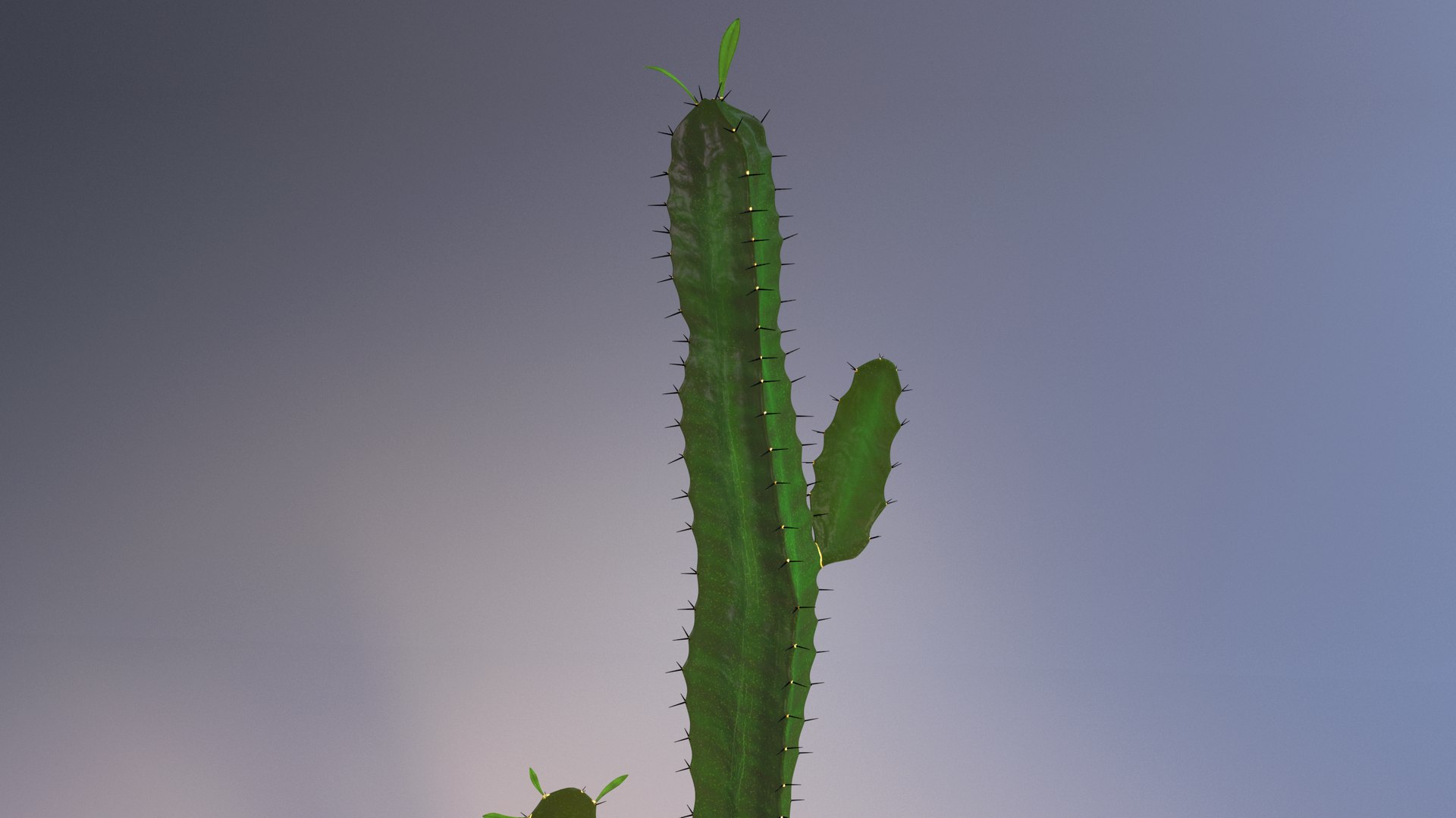 3d model euphorbia trigona cactus https://p.turbosquid.com/ts-thumb/Yh/sgCZA5/6K/cactus_06/png/1730212351/1920x1080/fit_q87/15e9c93153c30334596660097685d7d11db87f18/cactus_06.jpg