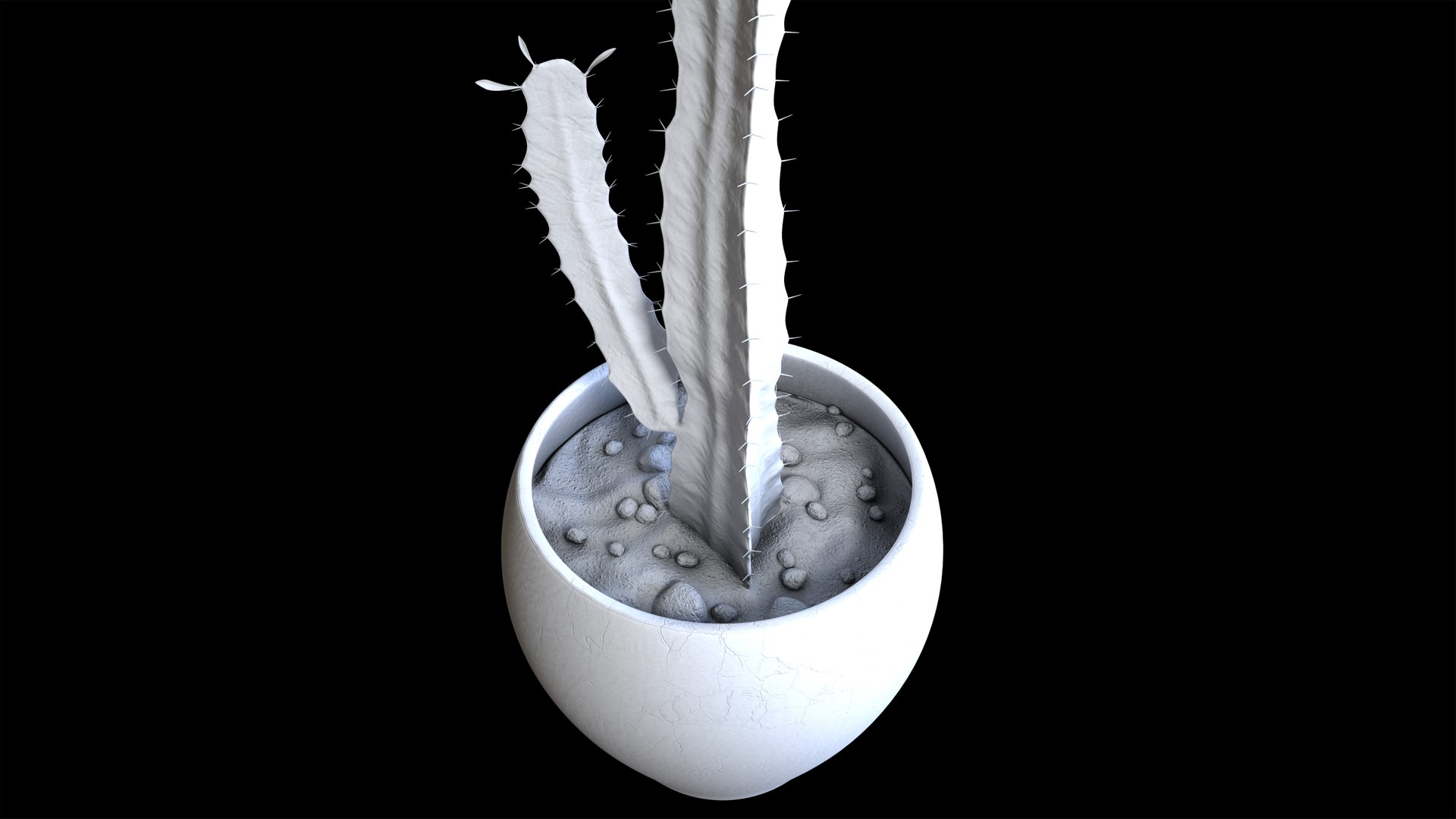 3d model euphorbia trigona cactus https://p.turbosquid.com/ts-thumb/Yh/sgCZA5/7i/cactus_11/png/1730212352/1920x1080/fit_q87/9308eb084b271313300c796b009e8d5303963e05/cactus_11.jpg