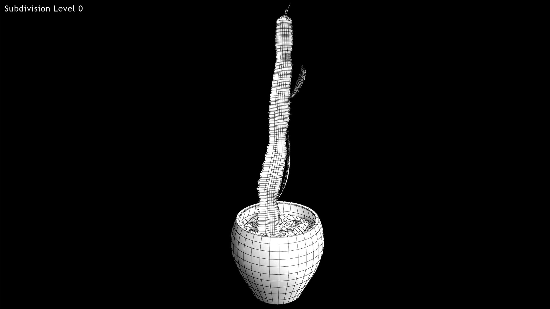 3d model euphorbia trigona cactus https://p.turbosquid.com/ts-thumb/Yh/sgCZA5/ER/cactus_16/png/1730212355/1920x1080/fit_q87/db5ddc6b5b43f404b96076c5b2cfb53171d29296/cactus_16.jpg