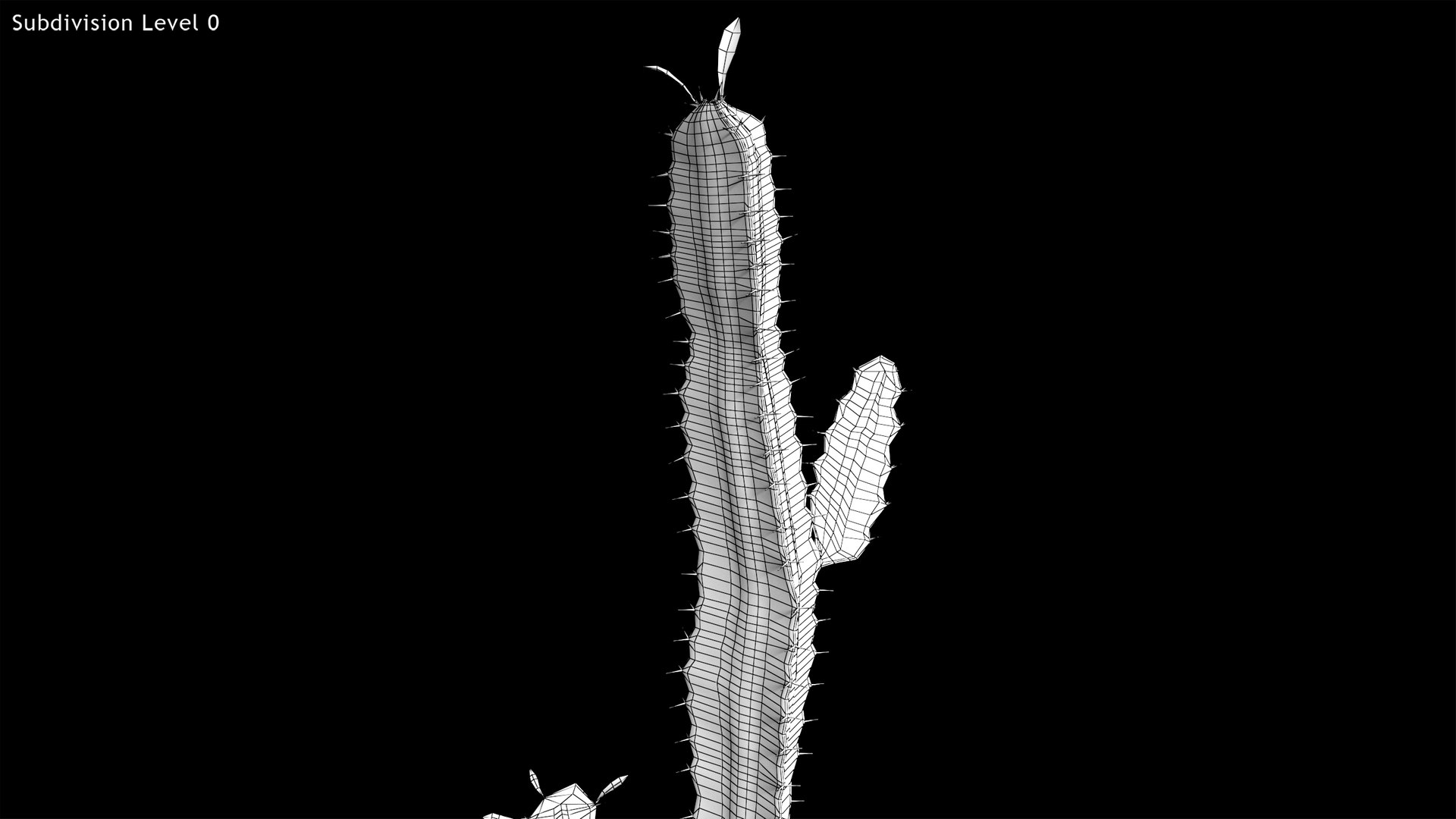 3d model euphorbia trigona cactus https://p.turbosquid.com/ts-thumb/Yh/sgCZA5/IF/cactus_18/png/1730212356/1920x1080/fit_q87/0a4a695543ff8b1890425c869c420e35f05dfce3/cactus_18.jpg