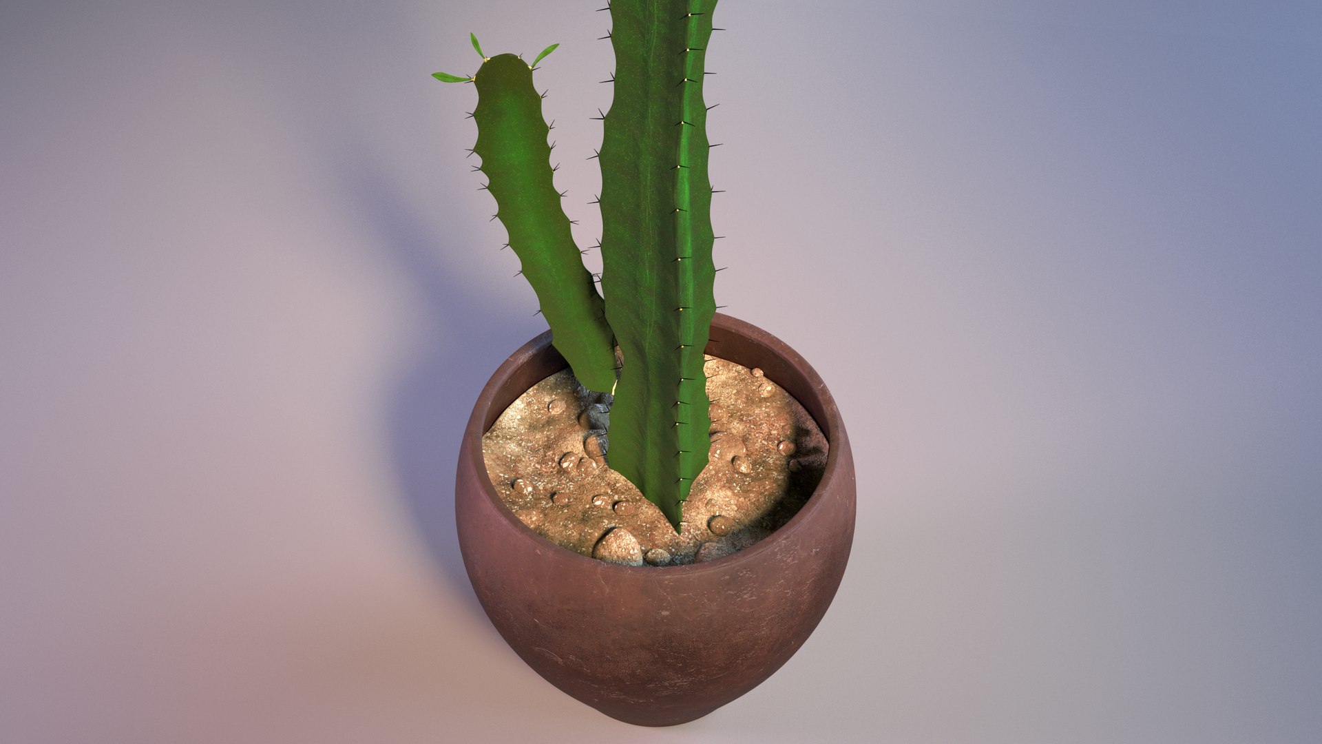 3d model euphorbia trigona cactus https://p.turbosquid.com/ts-thumb/Yh/sgCZA5/Ja/cactus_05/png/1730212350/1920x1080/fit_q87/2b952925e6c00fa91992fa33e976a7c9447e5305/cactus_05.jpg