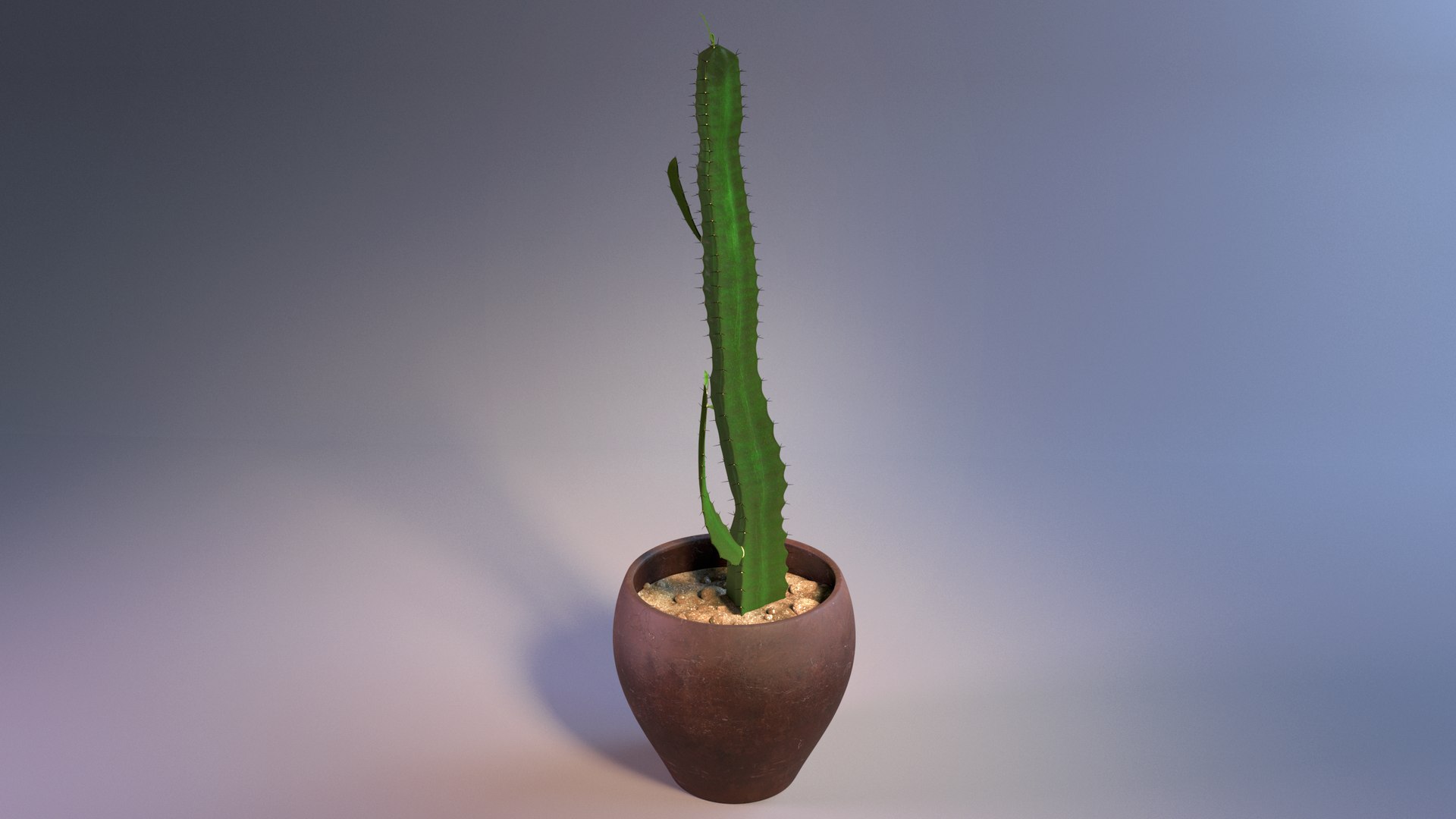 3d model euphorbia trigona cactus https://p.turbosquid.com/ts-thumb/Yh/sgCZA5/Ow/cactus_02/png/1730212349/1920x1080/fit_q87/1ae1dad3fe1f6f402befe99b5a77aef04375cfd6/cactus_02.jpg