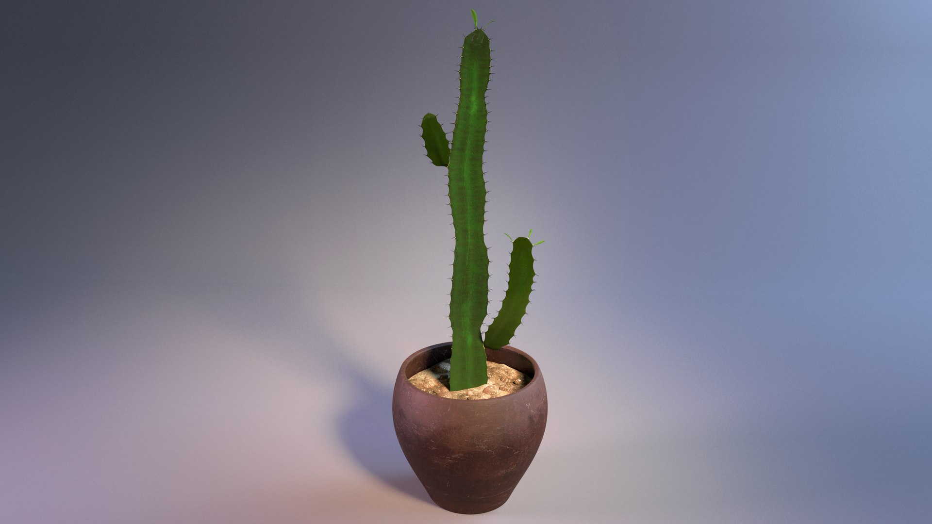 3d model euphorbia trigona cactus https://p.turbosquid.com/ts-thumb/Yh/sgCZA5/Tf/cactus_03/png/1730212349/1920x1080/fit_q87/8cdf2e1de10204aada6ddfc051a2ee1023934152/cactus_03.jpg