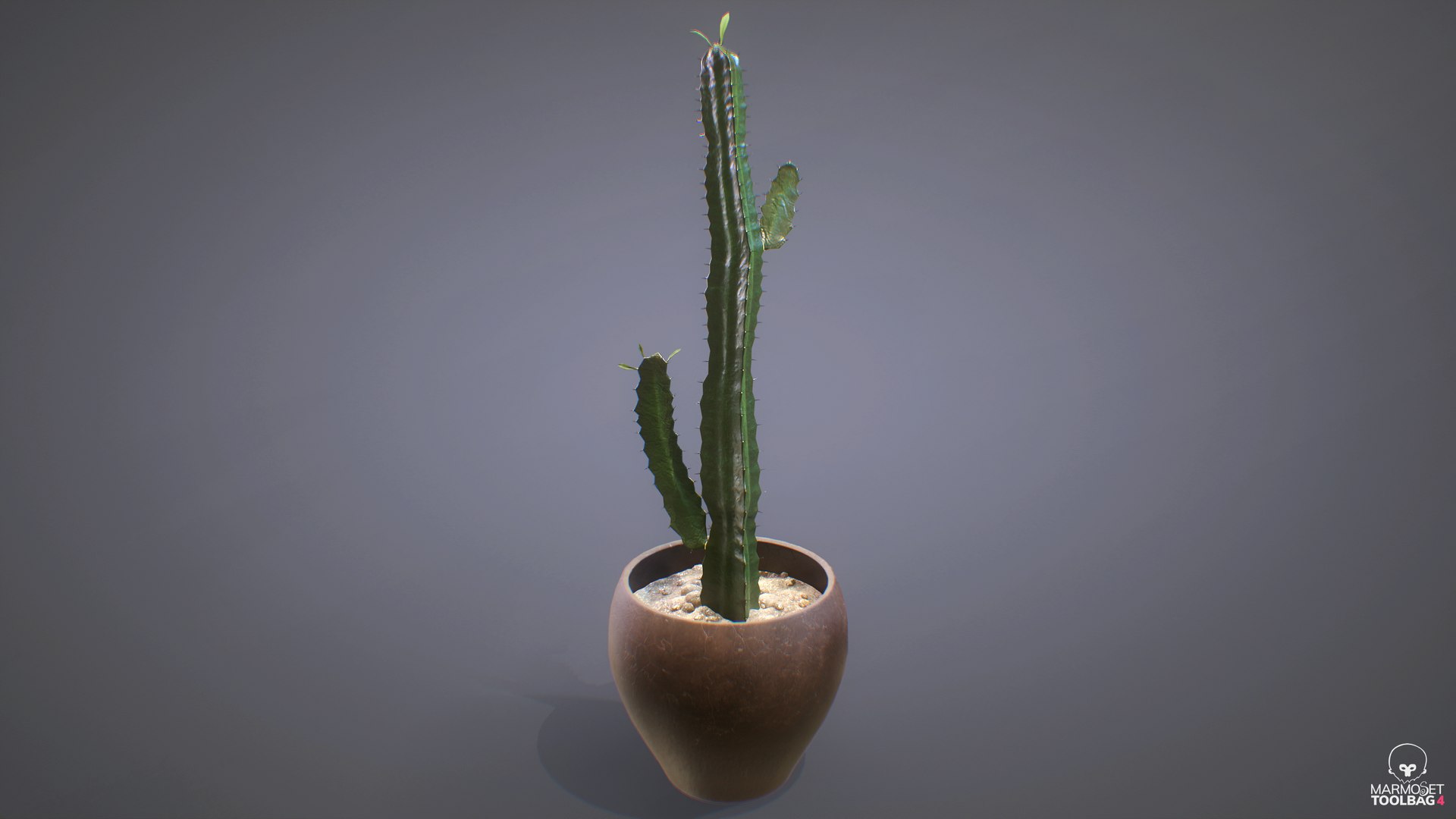 3d model euphorbia trigona cactus https://p.turbosquid.com/ts-thumb/Yh/sgCZA5/n5/cactus_23/png/1730212359/1920x1080/fit_q87/4cb8252457f051e659379b8719542f6dd35445db/cactus_23.jpg