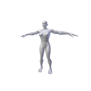 Female Basemesh Collection 3D model