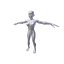 Collezione Basemesh femminile