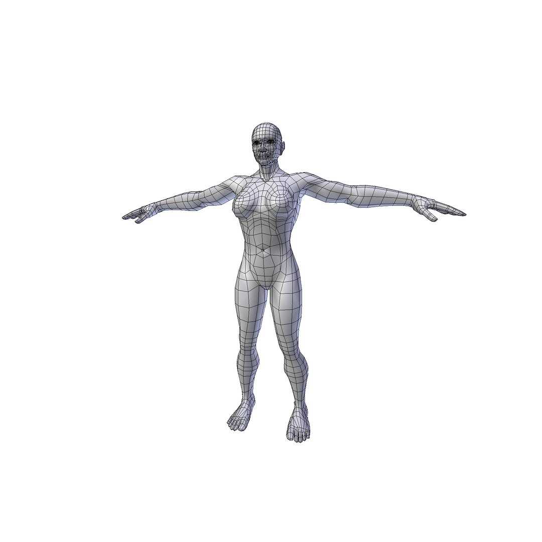 Female Basemesh Collection 3D model https://p.turbosquid.com/ts-thumb/Yi/Bn90El/un/woman2mwire0001/png/1730244125/1920x1080/fit_q87/e33f1841a058bba320a5ac0138e42b07f893e873/woman2mwire0001.jpg