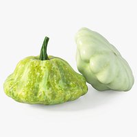 Realistic Squash 2