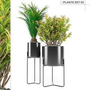 3D plants set 03 model