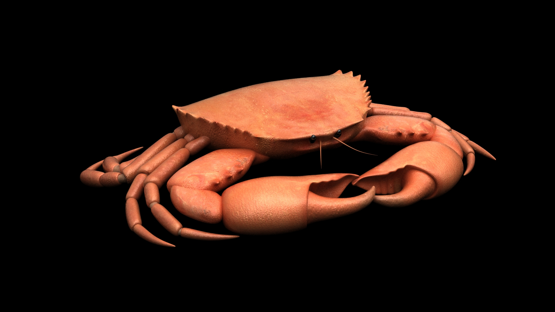 Rigged Crab 3d Model