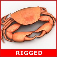 Crab (Rigged)