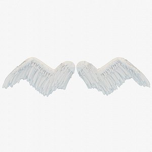 3D White Bird Wings