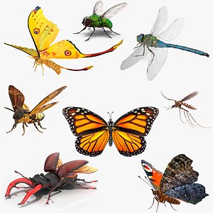 3D Rigged Flying Insects Collection 3 for Cinema 4D