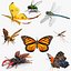 Rigged Flying Insects Collection 3 for Cinema 4D