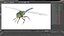 Rigged Flying Insects Collection 3 for Cinema 4D