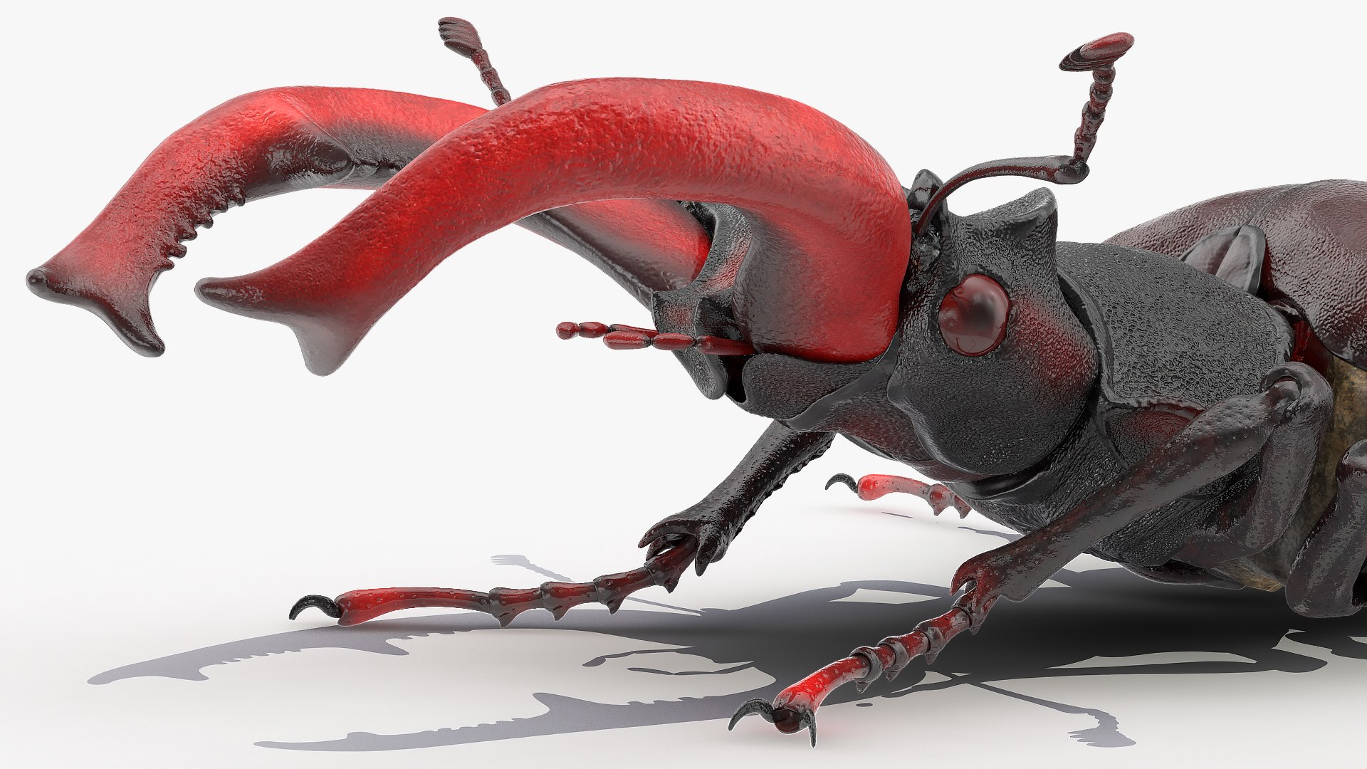 3D Rigged Flying Insects Collection 3 for Cinema 4D https://p.turbosquid.com/ts-thumb/Yi/XaPMWr/TZ/rigged_flying_insects_collection_4_070/jpg/1723462881/1920x1080/fit_q87/7f1a5b440dddf6baec8f9d82093fe0d7863b0156/rigged_flying_insects_collection_4_070.jpg