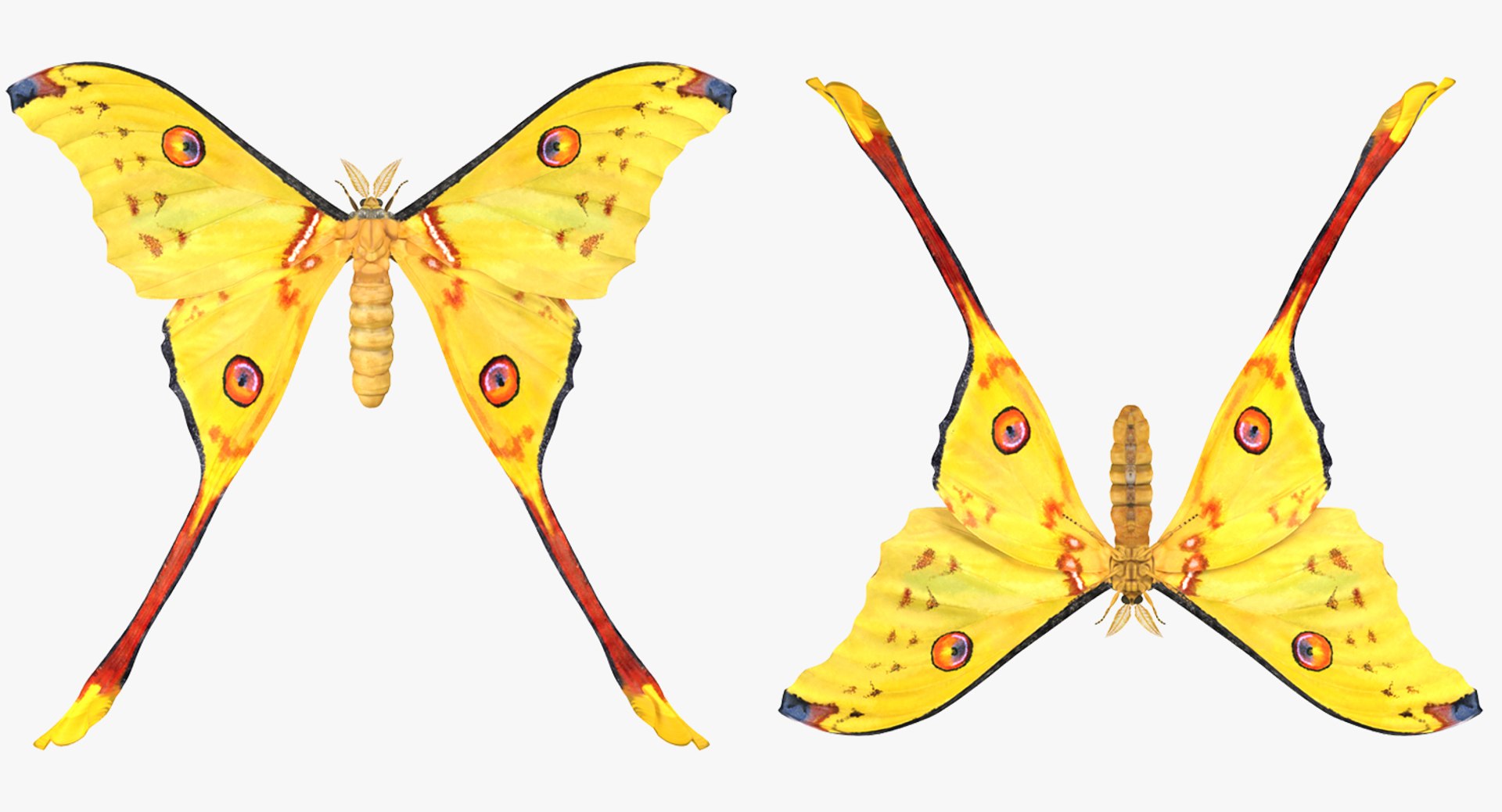 3D Rigged Flying Insects Collection 3 for Cinema 4D https://p.turbosquid.com/ts-thumb/Yi/XaPMWr/Xv/rigged_flying_insects_collection_4_089/jpg/1723462913/1920x1080/fit_q87/8d3798a1b1ae2776e9dc44e4956811f820590c73/rigged_flying_insects_collection_4_089.jpg