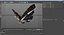 Rigged Flying Insects Collection 3 for Cinema 4D
