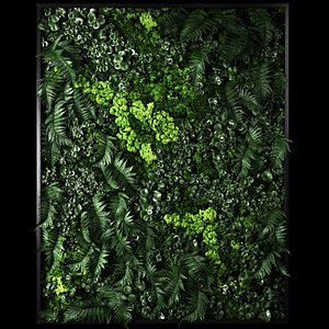Fytowall 2